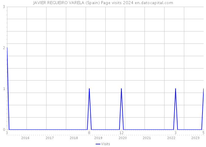 JAVIER REGUEIRO VARELA (Spain) Page visits 2024 