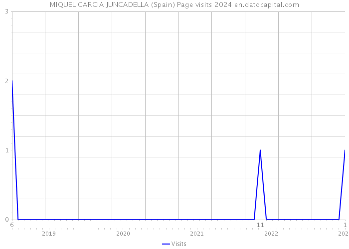 MIQUEL GARCIA JUNCADELLA (Spain) Page visits 2024 