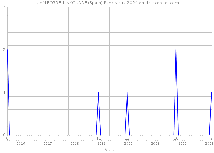JUAN BORRELL AYGUADE (Spain) Page visits 2024 