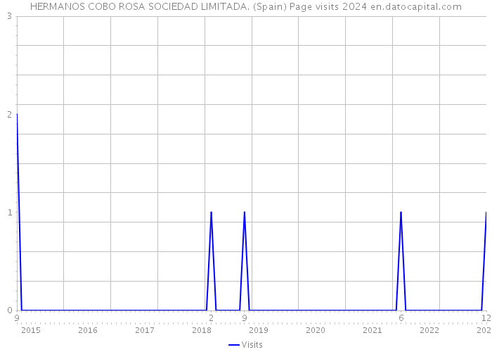 HERMANOS COBO ROSA SOCIEDAD LIMITADA. (Spain) Page visits 2024 
