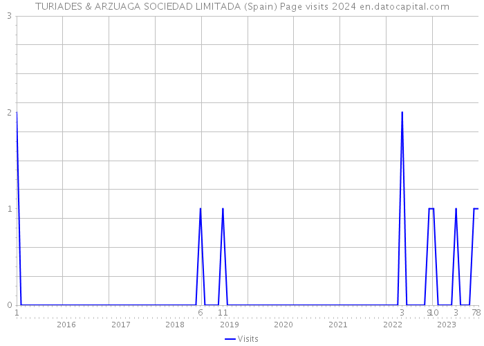 TURIADES & ARZUAGA SOCIEDAD LIMITADA (Spain) Page visits 2024 