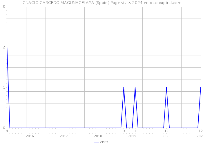 IGNACIO CARCEDO MAGUNACELAYA (Spain) Page visits 2024 