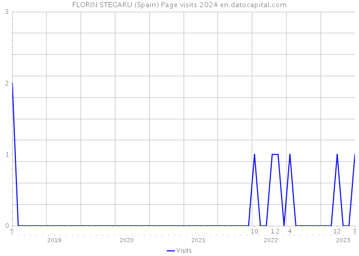 FLORIN STEGARU (Spain) Page visits 2024 