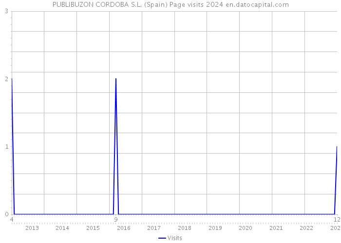 PUBLIBUZON CORDOBA S.L. (Spain) Page visits 2024 