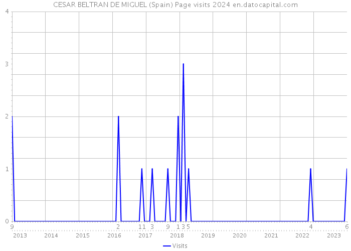CESAR BELTRAN DE MIGUEL (Spain) Page visits 2024 