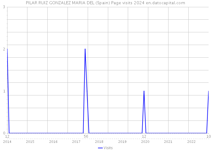 PILAR RUIZ GONZALEZ MARIA DEL (Spain) Page visits 2024 