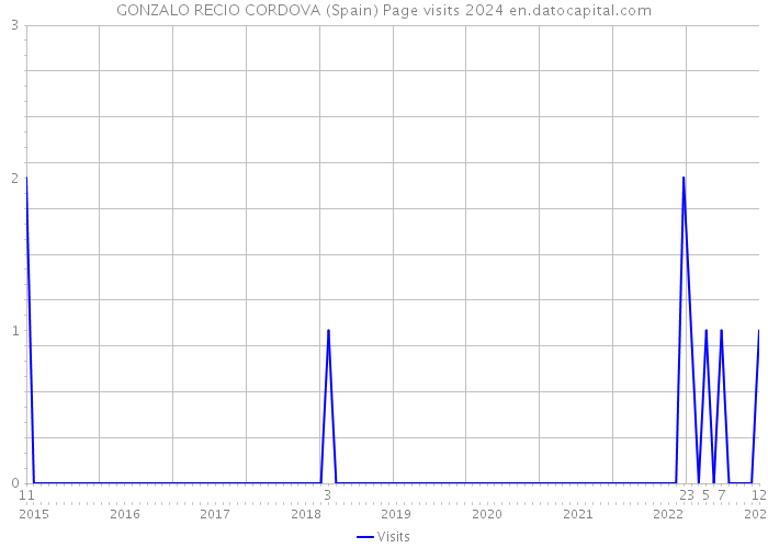 GONZALO RECIO CORDOVA (Spain) Page visits 2024 