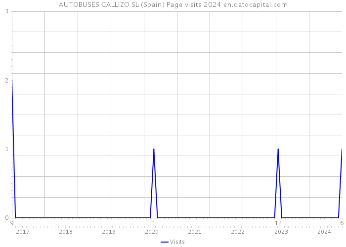AUTOBUSES CALLIZO SL (Spain) Page visits 2024 