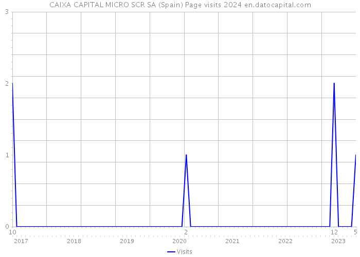 CAIXA CAPITAL MICRO SCR SA (Spain) Page visits 2024 