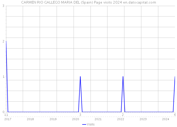 CARMEN RIO GALLEGO MARIA DEL (Spain) Page visits 2024 