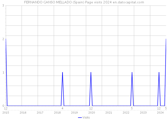 FERNANDO GANSO MELLADO (Spain) Page visits 2024 