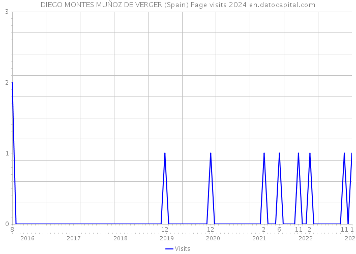 DIEGO MONTES MUÑOZ DE VERGER (Spain) Page visits 2024 