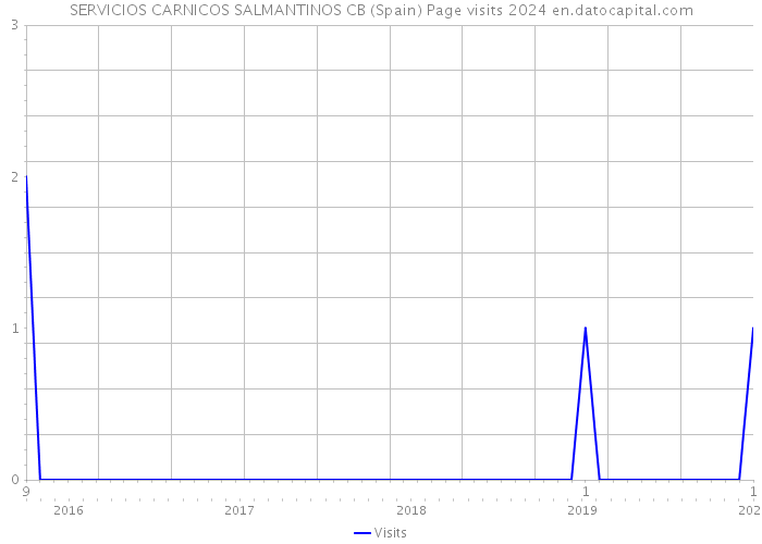 SERVICIOS CARNICOS SALMANTINOS CB (Spain) Page visits 2024 