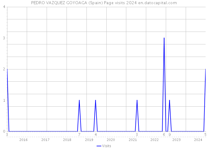 PEDRO VAZQUEZ GOYOAGA (Spain) Page visits 2024 