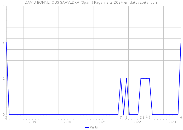 DAVID BONNEFOUS SAAVEDRA (Spain) Page visits 2024 