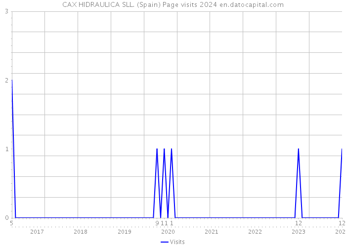 CAX HIDRAULICA SLL. (Spain) Page visits 2024 