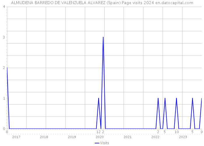ALMUDENA BARREDO DE VALENZUELA ALVAREZ (Spain) Page visits 2024 