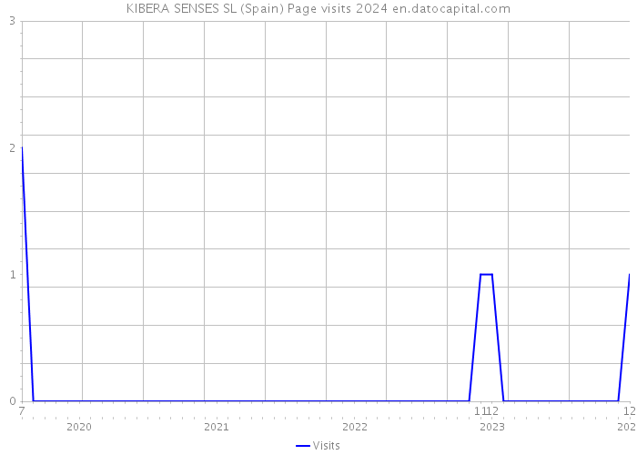 KIBERA SENSES SL (Spain) Page visits 2024 