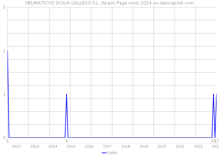 NEUMATICOS SICILIA GALLEGO S.L. (Spain) Page visits 2024 