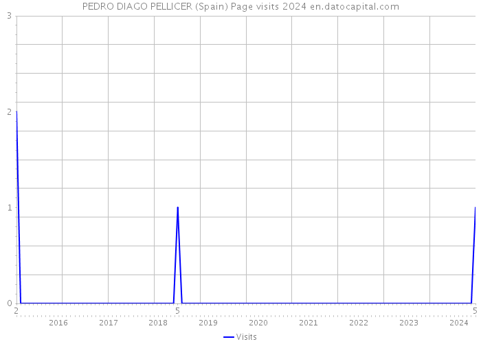 PEDRO DIAGO PELLICER (Spain) Page visits 2024 
