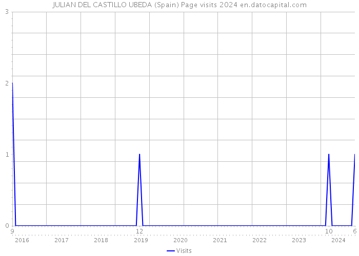 JULIAN DEL CASTILLO UBEDA (Spain) Page visits 2024 