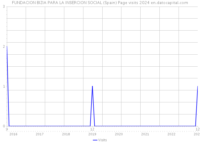 FUNDACION BIZIA PARA LA INSERCION SOCIAL (Spain) Page visits 2024 