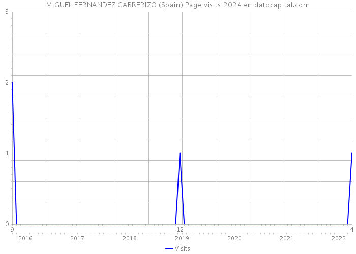 MIGUEL FERNANDEZ CABRERIZO (Spain) Page visits 2024 