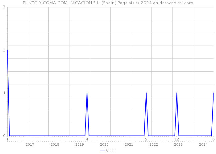 PUNTO Y COMA COMUNICACION S.L. (Spain) Page visits 2024 