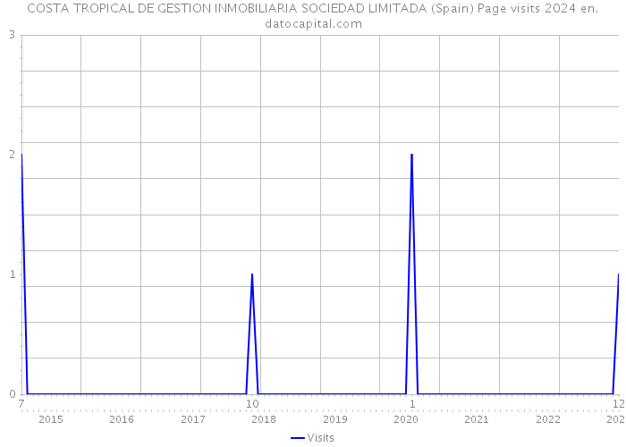 COSTA TROPICAL DE GESTION INMOBILIARIA SOCIEDAD LIMITADA (Spain) Page visits 2024 