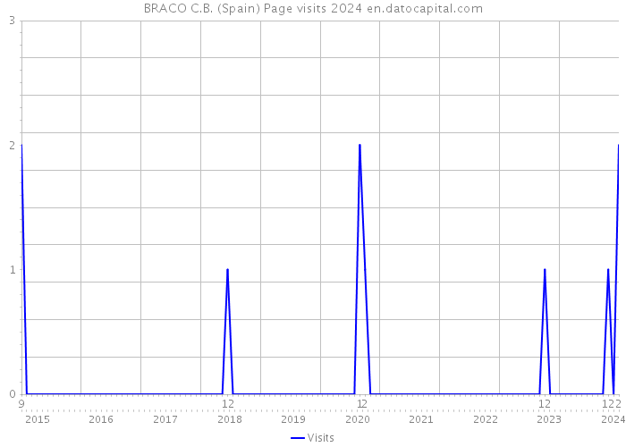 BRACO C.B. (Spain) Page visits 2024 