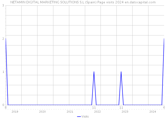 NETAMIN DIGITAL MARKETING SOLUTIONS S.L (Spain) Page visits 2024 