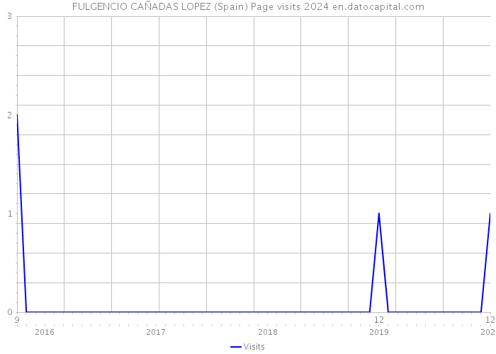 FULGENCIO CAÑADAS LOPEZ (Spain) Page visits 2024 