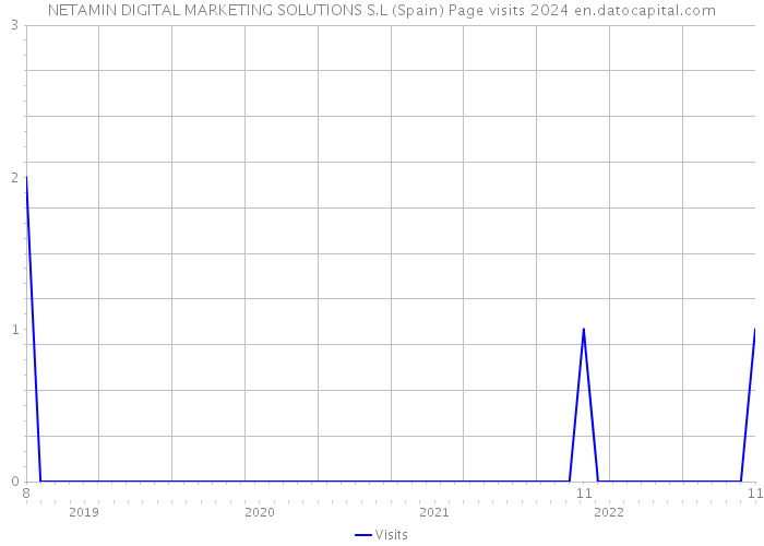 NETAMIN DIGITAL MARKETING SOLUTIONS S.L (Spain) Page visits 2024 
