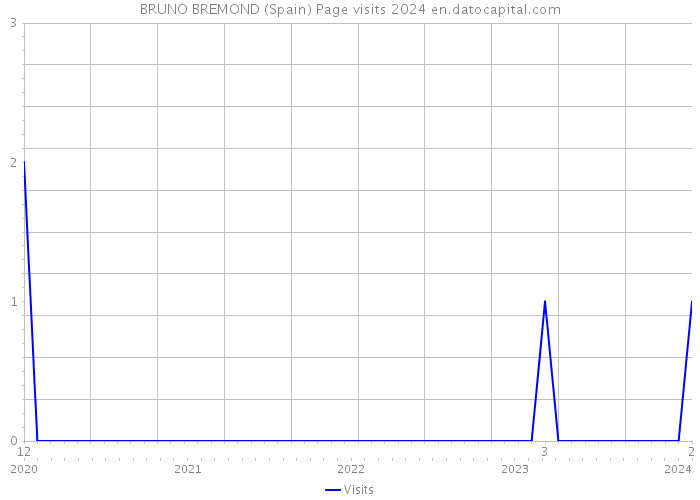 BRUNO BREMOND (Spain) Page visits 2024 