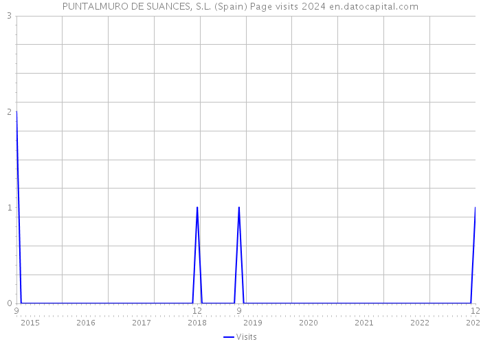 PUNTALMURO DE SUANCES, S.L. (Spain) Page visits 2024 