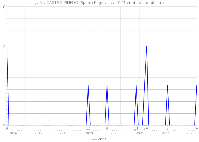 JUAN CASTRO PINEDO (Spain) Page visits 2024 