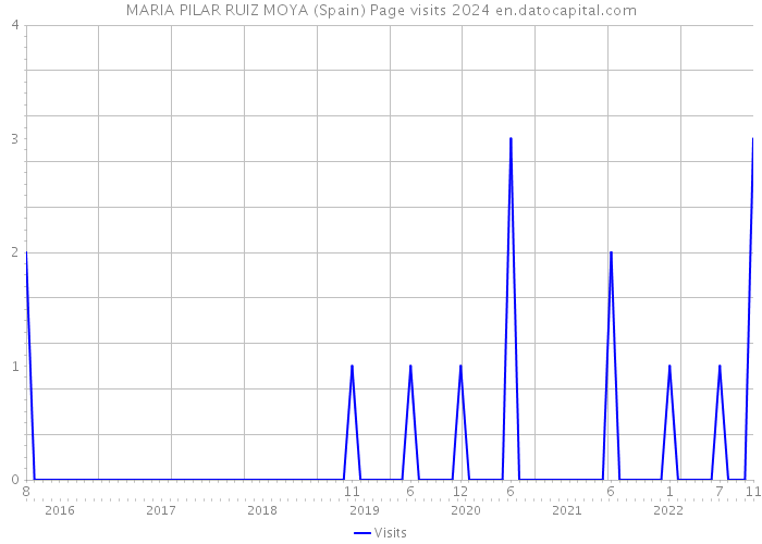 MARIA PILAR RUIZ MOYA (Spain) Page visits 2024 