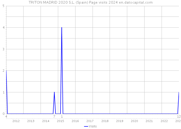 TRITON MADRID 2020 S.L. (Spain) Page visits 2024 