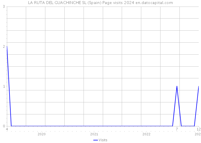 LA RUTA DEL GUACHINCHE SL (Spain) Page visits 2024 