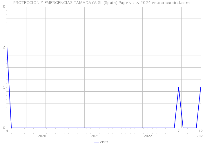 PROTECCION Y EMERGENCIAS TAMADAYA SL (Spain) Page visits 2024 