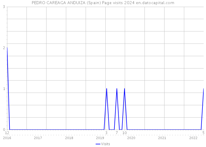 PEDRO CAREAGA ANDUIZA (Spain) Page visits 2024 