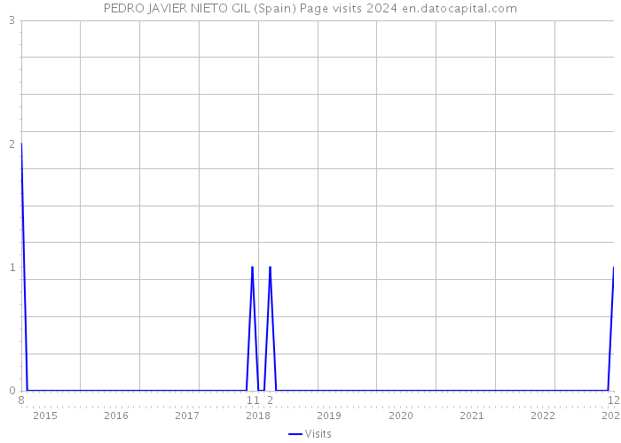 PEDRO JAVIER NIETO GIL (Spain) Page visits 2024 