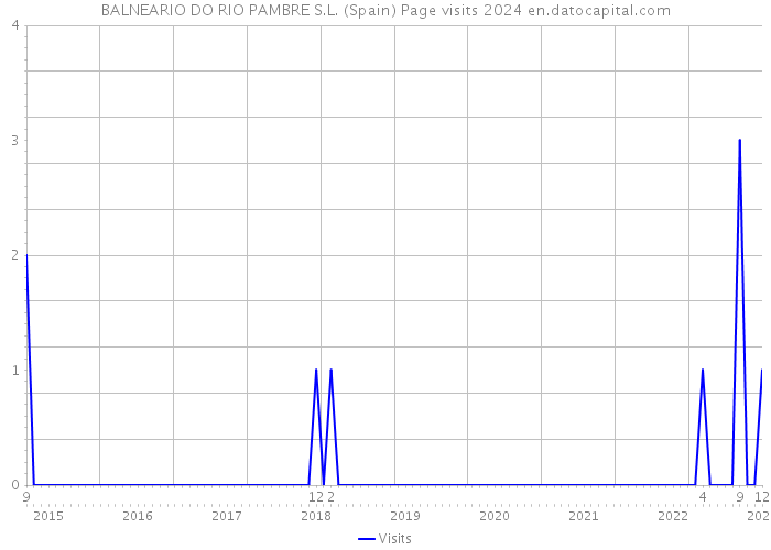 BALNEARIO DO RIO PAMBRE S.L. (Spain) Page visits 2024 