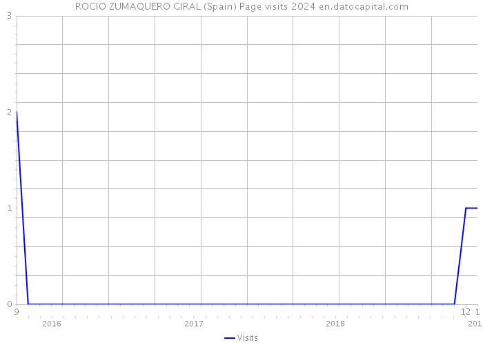 ROCIO ZUMAQUERO GIRAL (Spain) Page visits 2024 