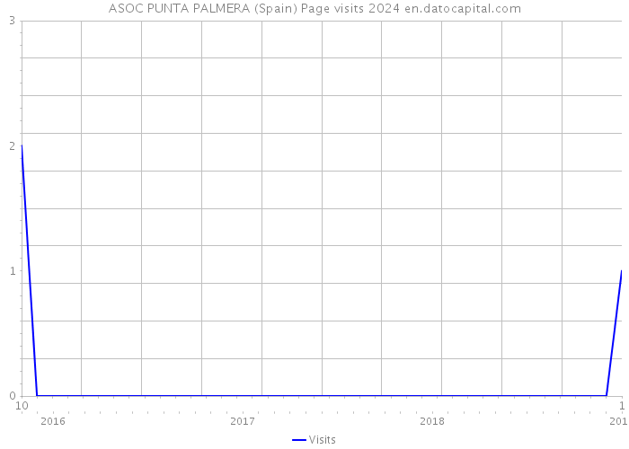 ASOC PUNTA PALMERA (Spain) Page visits 2024 