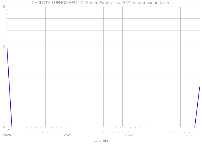 CARLOTA LUENGO BENITO (Spain) Page visits 2024 