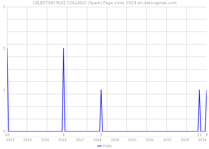 CELESTINO RUIZ COLLADO (Spain) Page visits 2024 