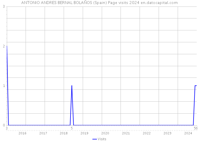 ANTONIO ANDRES BERNAL BOLAÑOS (Spain) Page visits 2024 