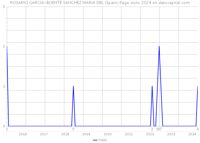 ROSARIO GARCIA-BOENTE SANCHEZ MARIA DEL (Spain) Page visits 2024 