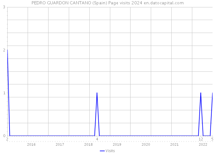 PEDRO GUARDON CANTANO (Spain) Page visits 2024 